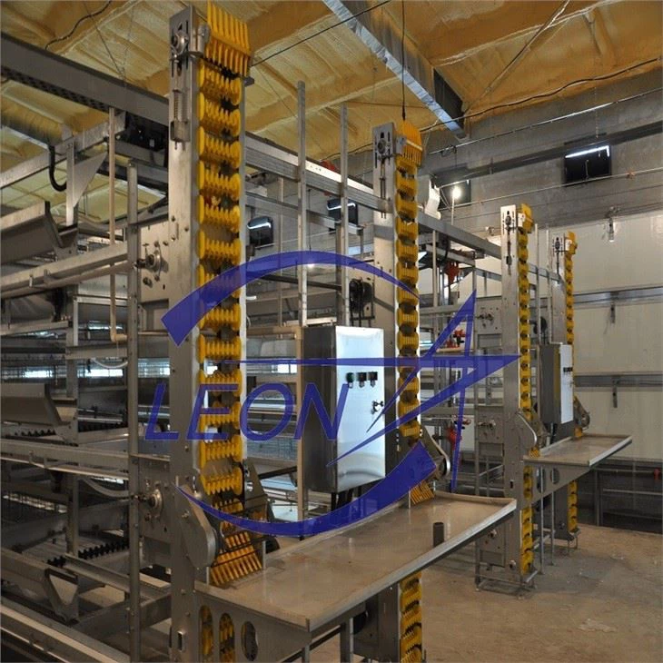 Broiler Cage Automatic Broiler Cage Automatic