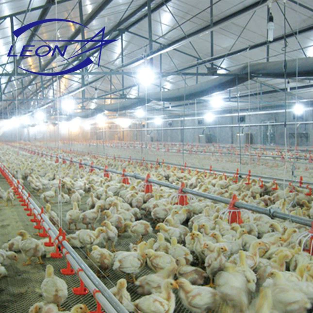 Popolna avtomatska piščančja farma oprema
