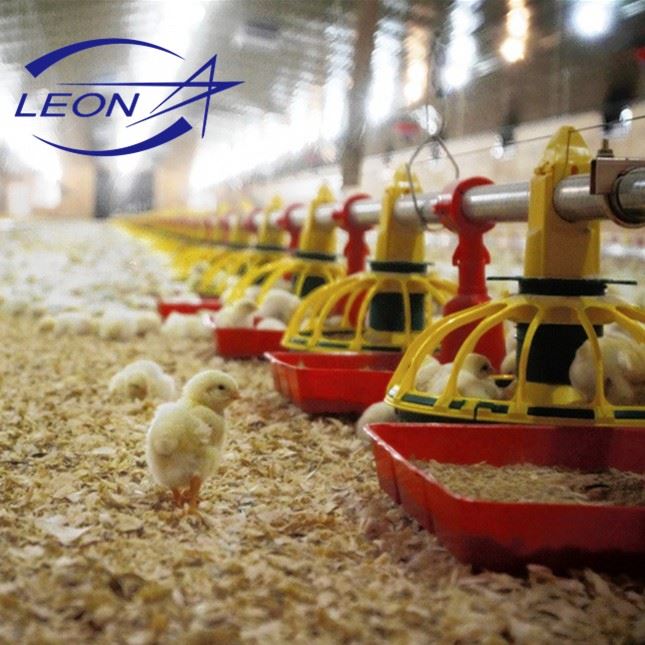 New Full Automatic Broiler Pan Feeding System