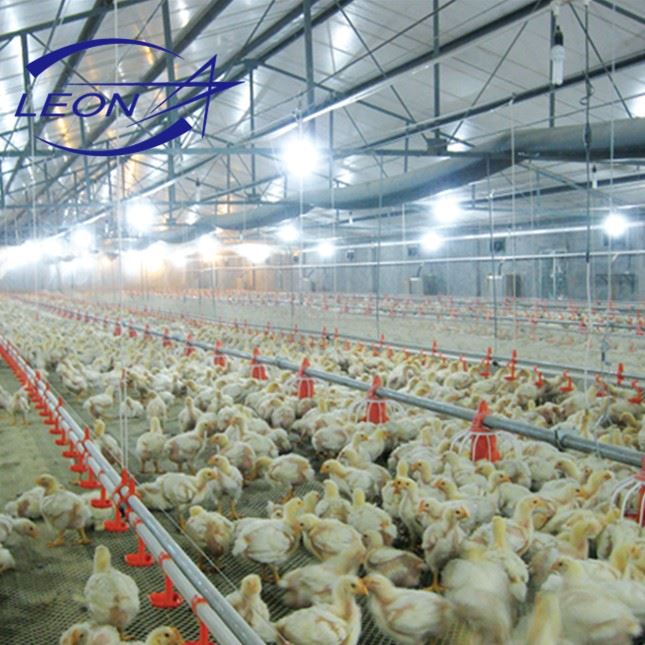 New Full Automatic Broiler Pan Feeding System