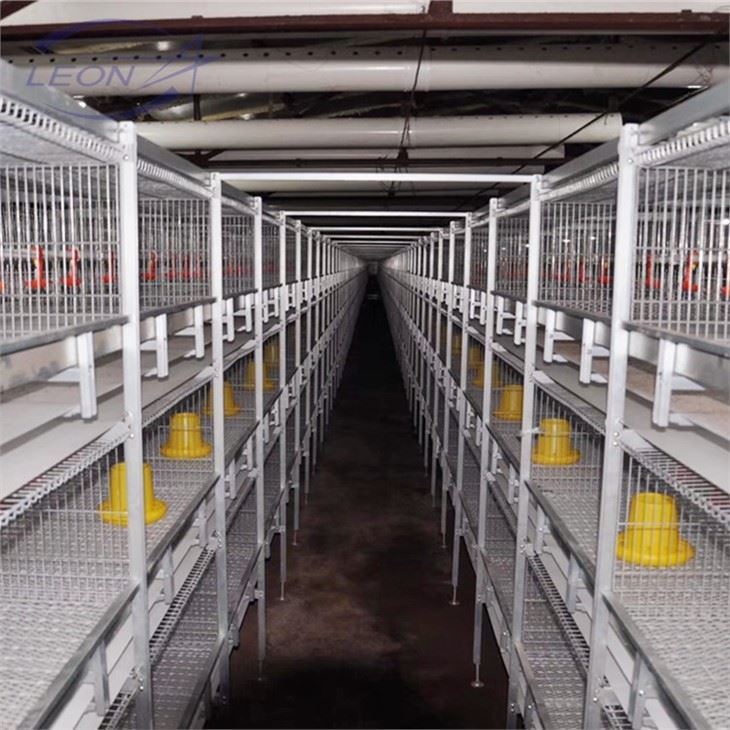The New Full Automatic H Type Broilers Cage For 2021
