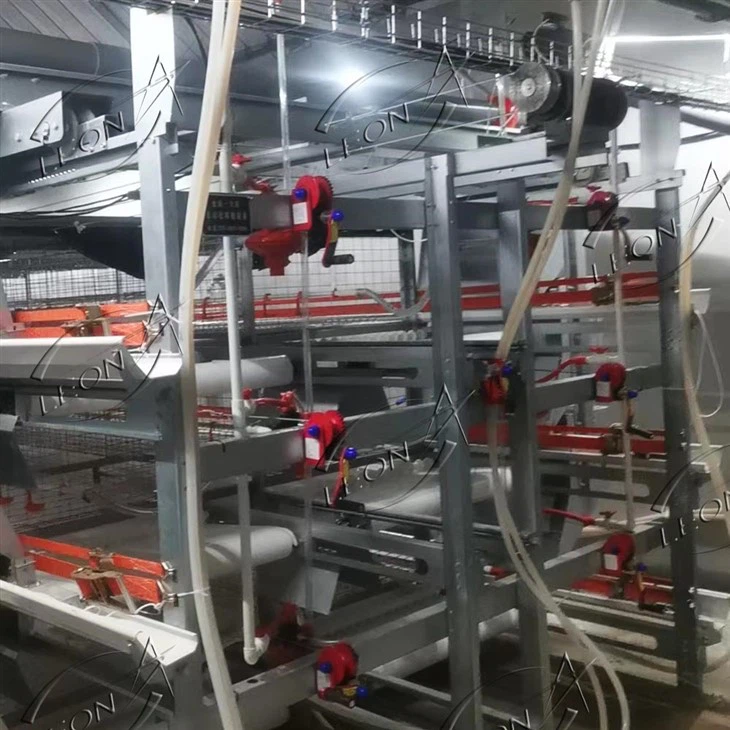 4 Tiers H Type Broiler Chicken Cage
